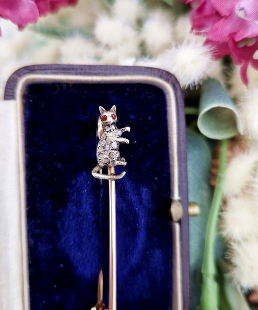 Antique Victorian 9ct Yellow Gold Diamond and Ruby Playful Kitten Brooch Pin