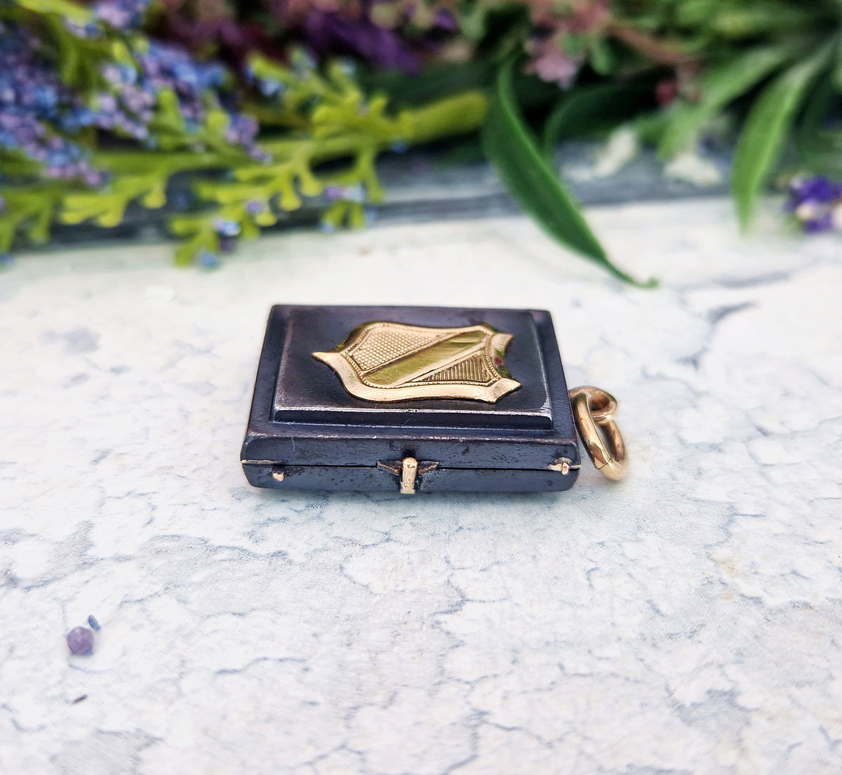 Antique Victorian 9ct Gold and Blackened Steel Shield Book Locket Pendant