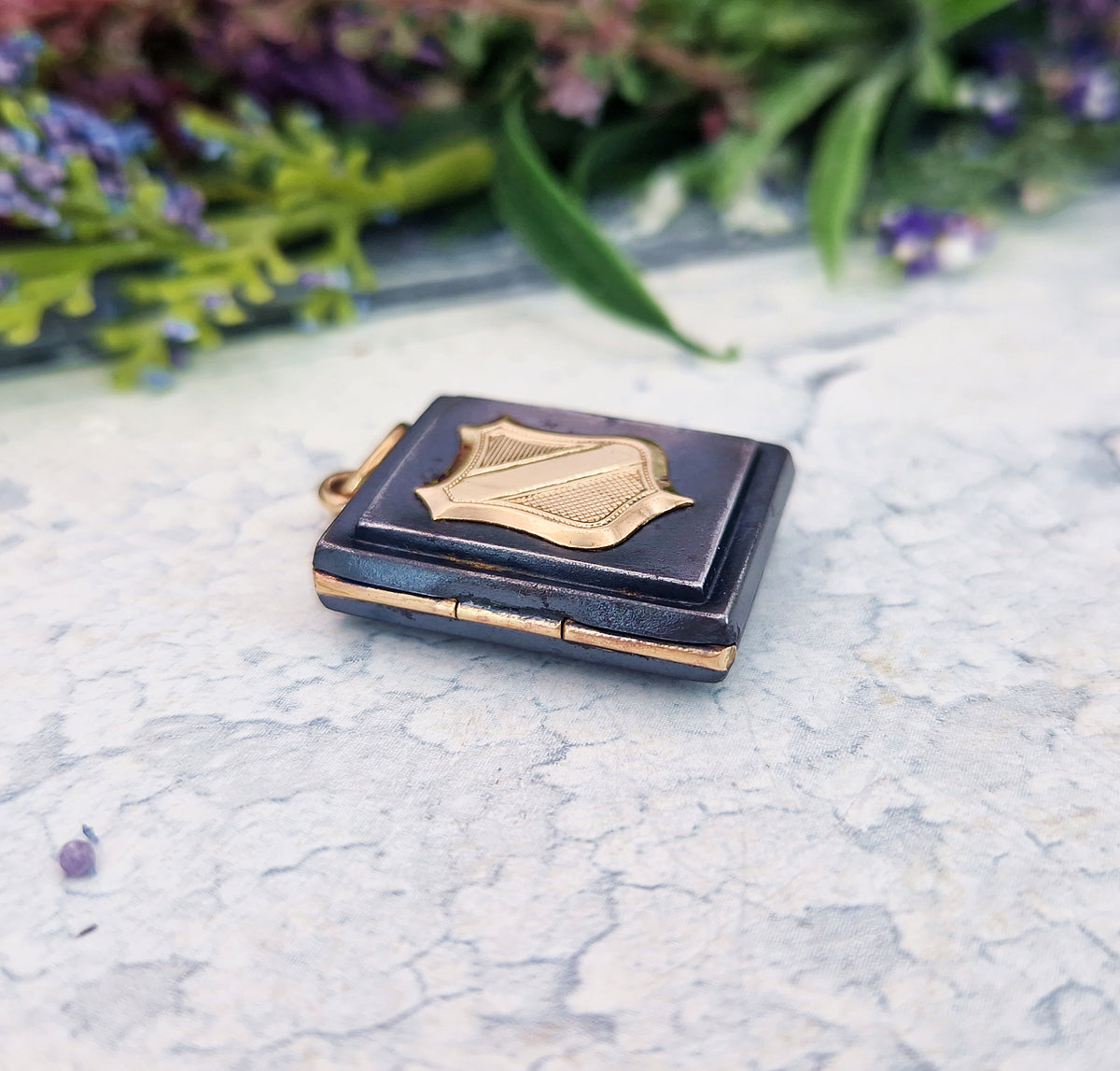 Antique Victorian 9ct Gold and Blackened Steel Shield Book Locket Pendant
